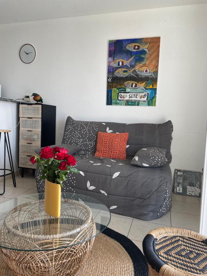 Appartement T2, Climatise, Wifi, Parking Et Piscine Prives 塞特港 外观 照片